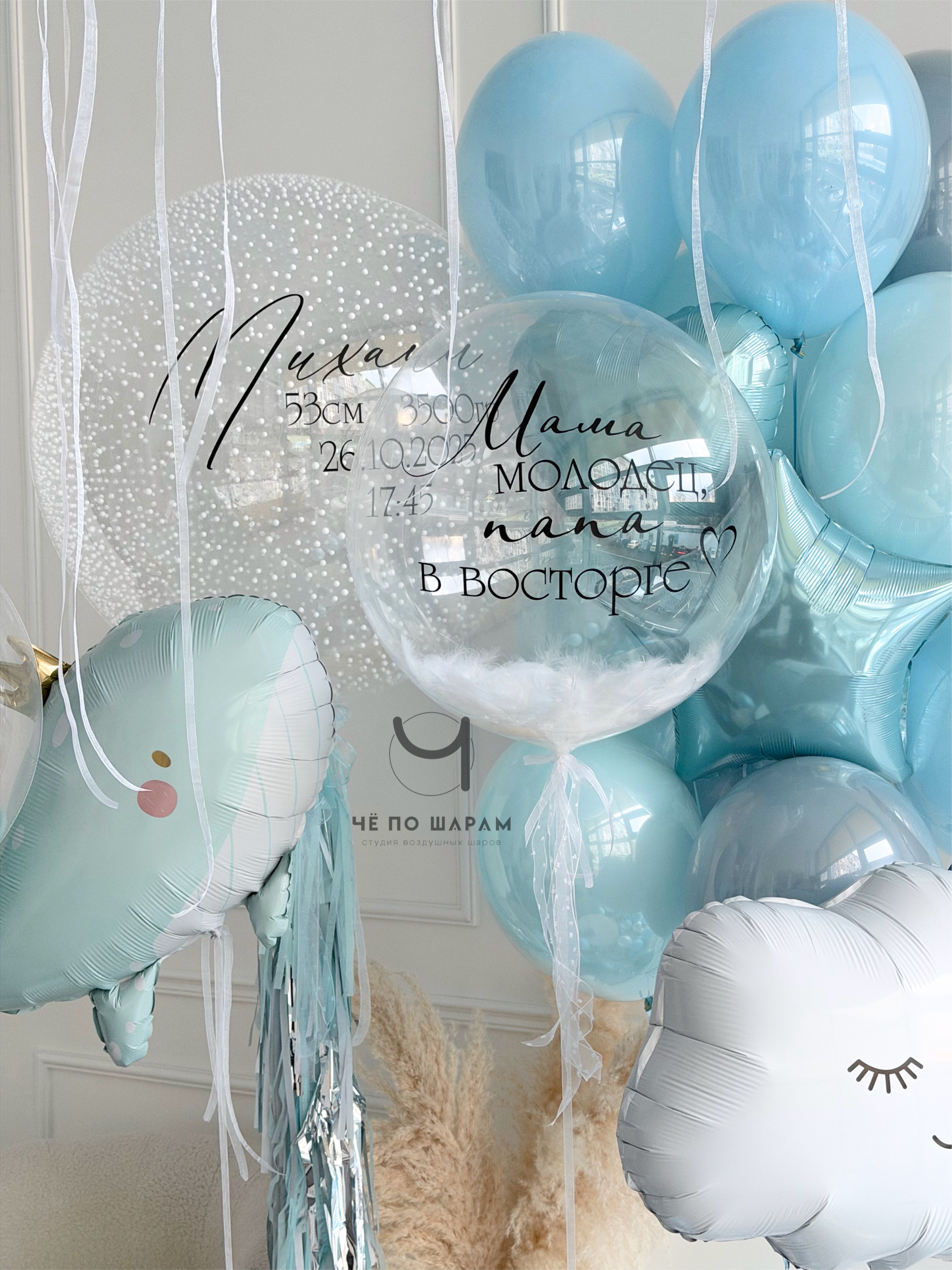 Воздушные шары на выписку мальчика фото 4