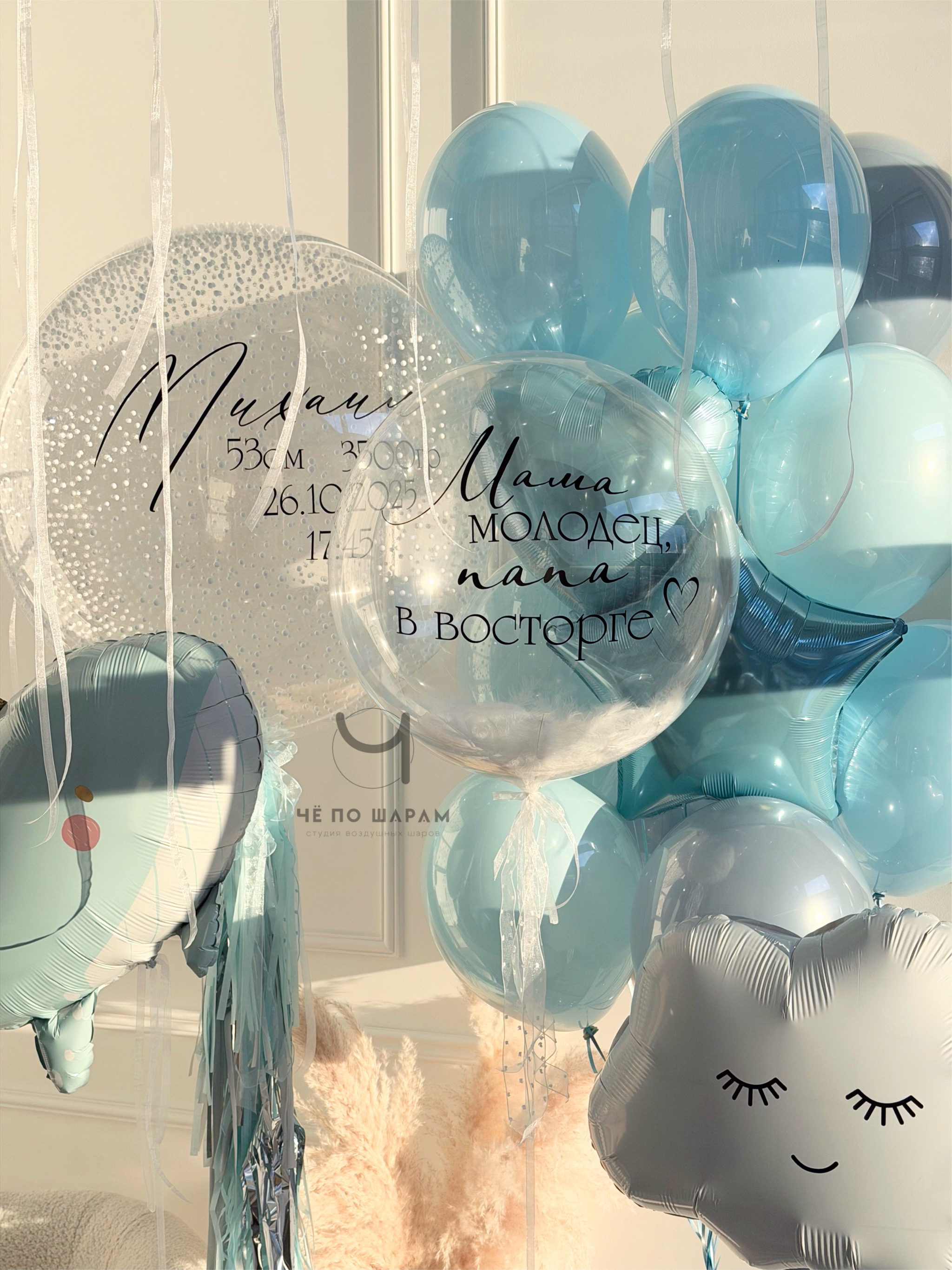 Воздушные шары на выписку мальчика фото 3
