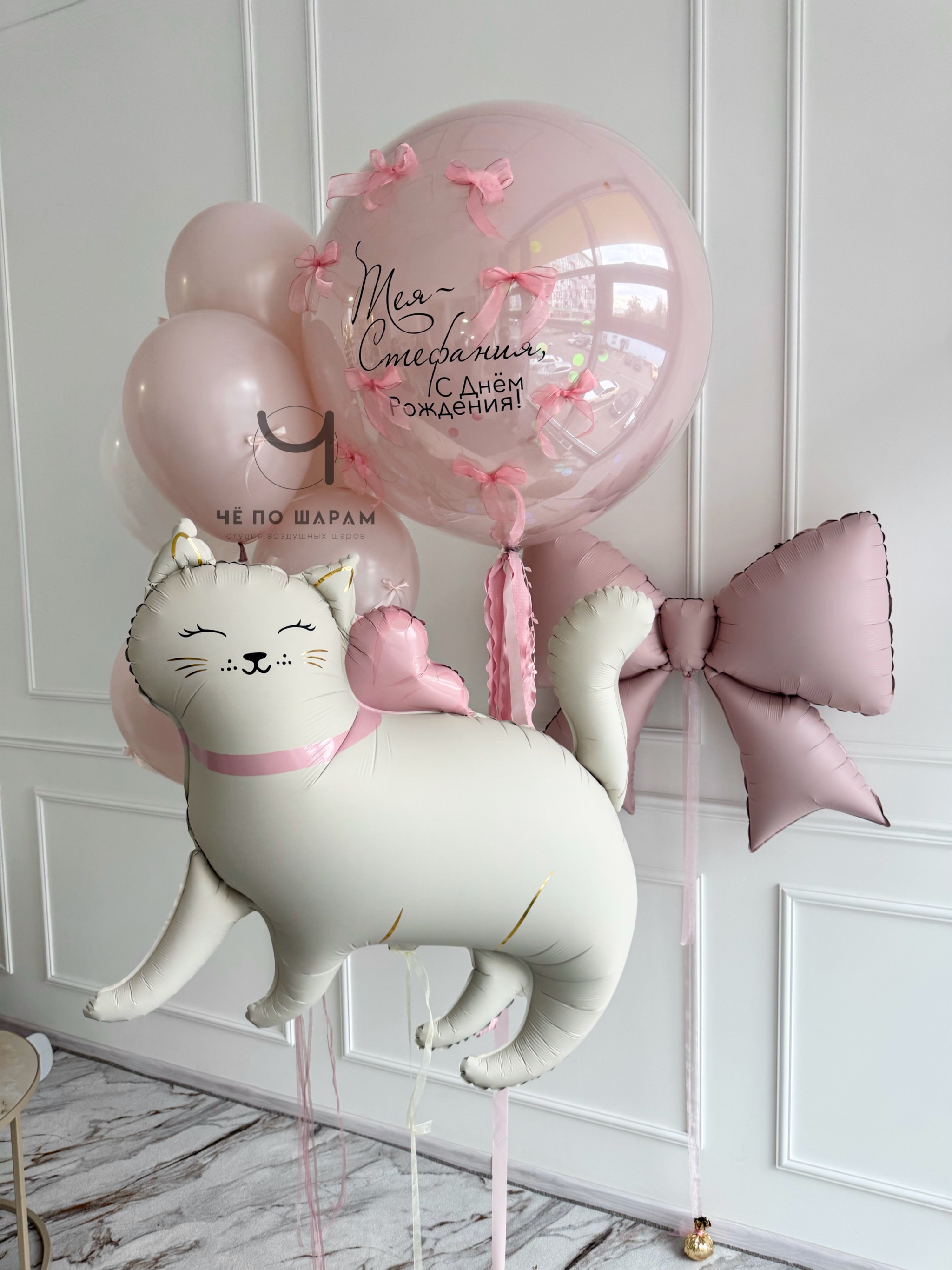 Шары для девочки с кошкой и большим шаром с надписью